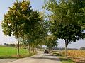 Onderweg (7)
